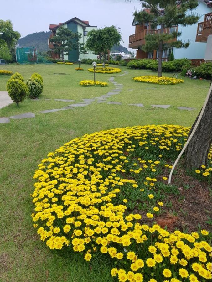 Jeju Time-Travel Pension Exterior photo