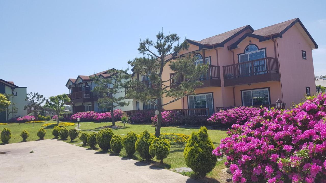 Jeju Time-Travel Pension Exterior photo